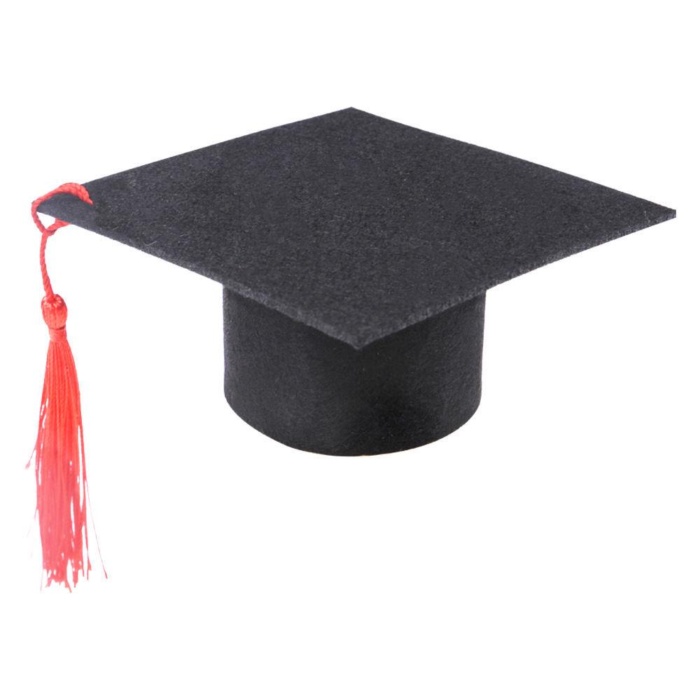 Graduation Hat for Small Pets - Black