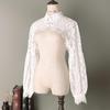 Women's Versatile Lace Hollow-Out Detachable Collar for Sweaters