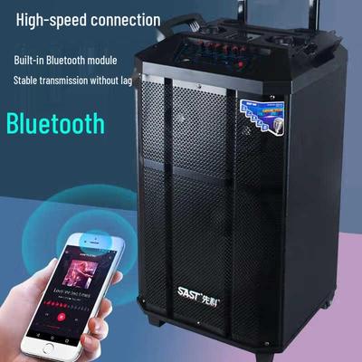 SAST SA-165 PRO Уличная Bluetooth-колонка на колесах с двумя микрофонами, штепсель CN (адаптер в комплекте)