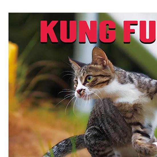 Календарь 2026 Январь 2026 - Декабрь 2026 12-месячный планер Настенный календарь «Кот Кунг-фу» для декора дома, офиса, общежития