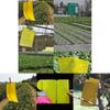 Timeless 5pcs Outdoor Yellow Sticky Glue Flying Pest Insect Papers Traps For All Your Gardening Needs