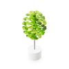 Image Mission Kikyousha playableART Fibonacci Tree Green BEA0440