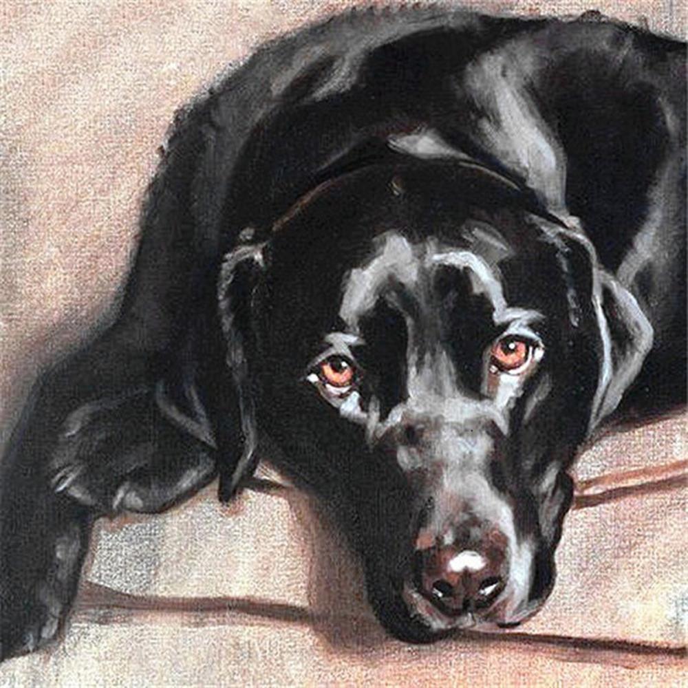 5D Diy Diamond Painting Animal Dog Full Circle Diamond Embroidery Art Picture Mosaic Gift Home Decoration Cross Stitch Kit Gift