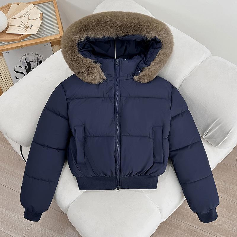 Winter new fashion versatile hooded down cotton clothes short big fur collar thickened loose small coat
