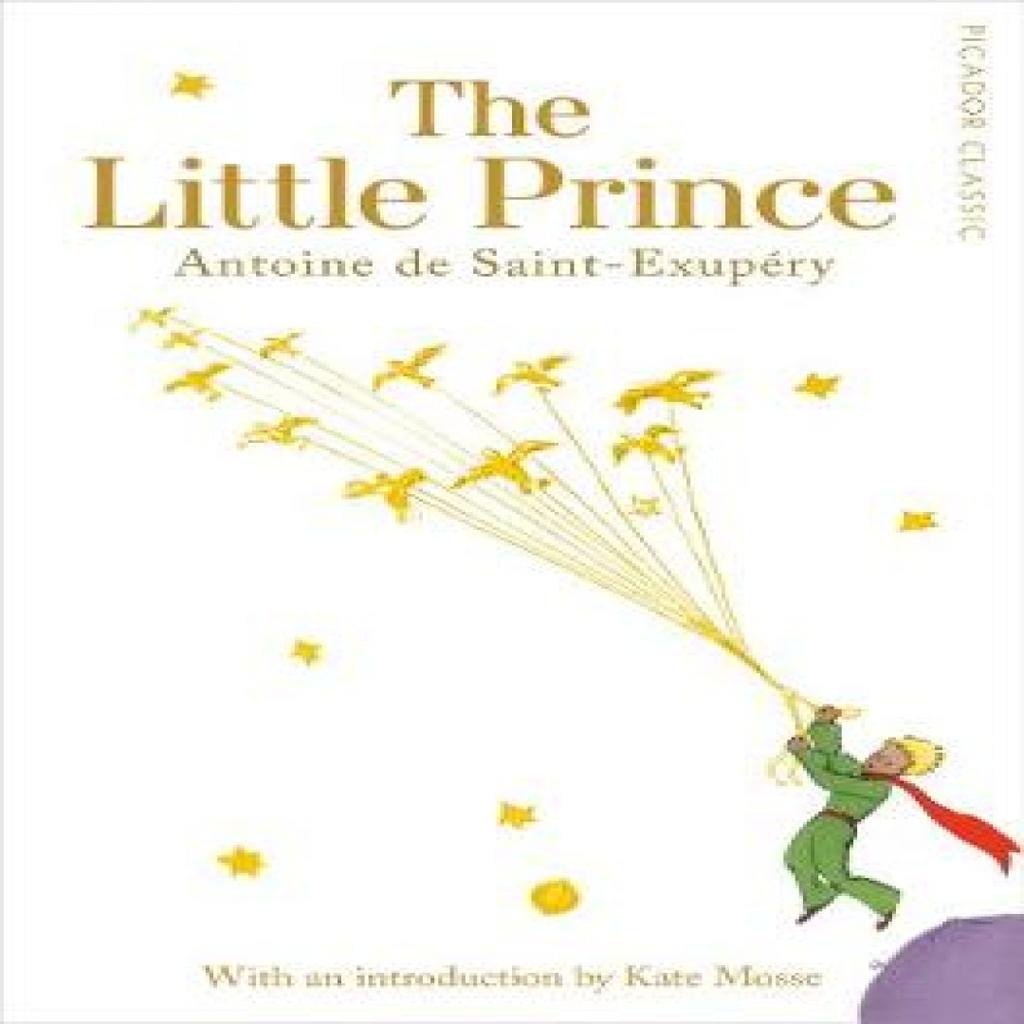 The Little Prince by Antoine de SaintExupery Paperback Book 9781509811304