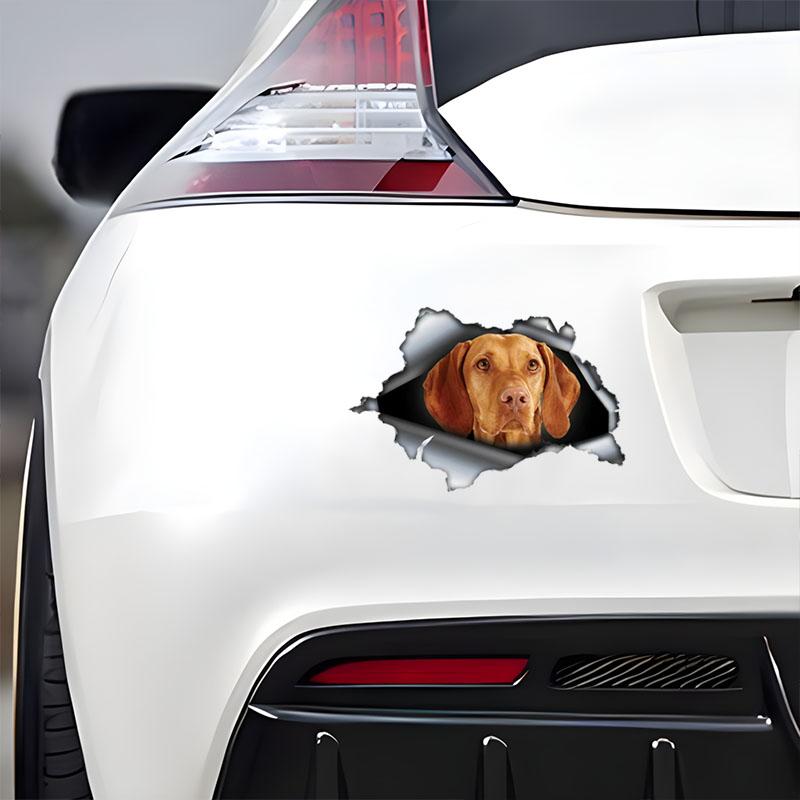 Vizsla 3D Break the Wall Car Sticker, Waterproof Vinyl Material Accessories, Interesting For Cars, Trucks, Motorcycles, Walls