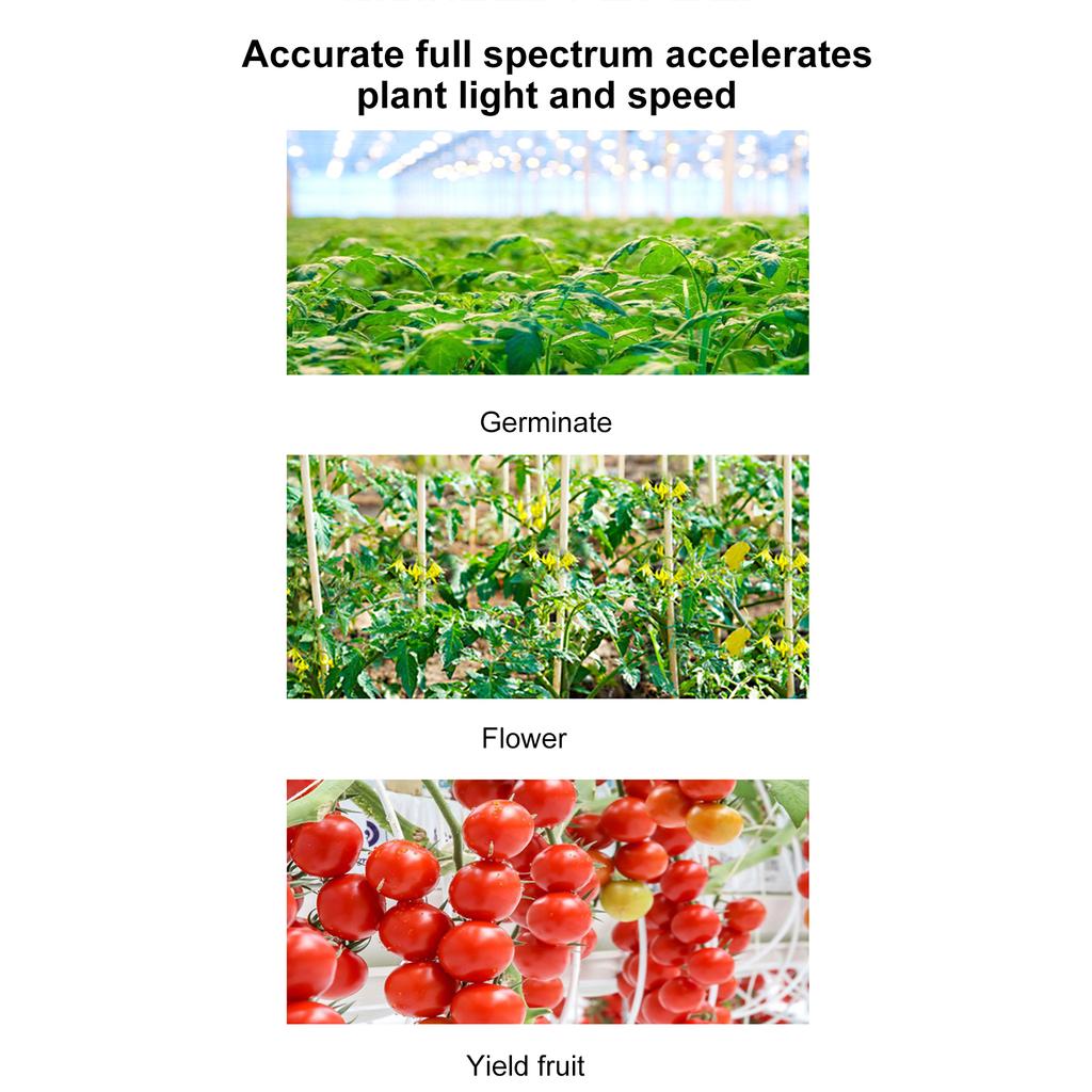 LED Plant Growth Light Board Full Spectrum Supplement Light for Indoor Plants Plant Grow Light