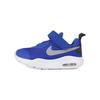 Кроссовки Air Max Oketo Low top Сине-белые для младенцев и малышей AR7421-402