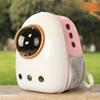 Pet Portable Capsule Exterior Strap Cat Bag Handheld Foldable Shoulder Bag Outing Backpack Cartoon Cat Dog Bags