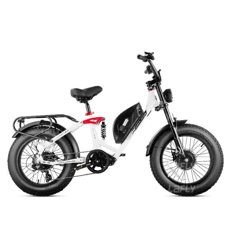 2025 NEW LUNA 1000w electric bike 85N-m torque 48v 15ah battery Color LCD Display 20*4.0 inch fat tires commuting electric bike