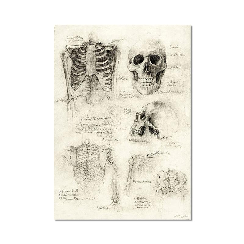 Винтажная лиса, бабочка, олень, насекомое, нота, ретро постер, грибы, холст, картина, настенная живопись, принт, настенные панно для декора гостиной