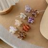 Korean Cute Acetate Flower Hair Clip for Women - French Style Simple Bangs & Half Ponytail Accessory