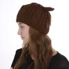 Autumn Winter Knitted Warm Women's Jacquard Fried Dough Twist Cat Ears Cute Wool Single Layer Hat