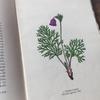 [USED] Czech Plant Encyclopedia Botanical Art Junk Journal