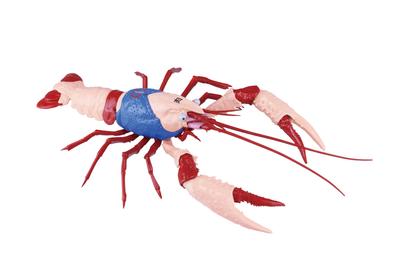 Бесплатная серия исследований Kinnikuman Edition American Crawfish Kinnikuman Технические характеристики Пластиковая модель № 243