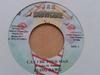 7inch Record BLING DAWG / TOMAHAWK - Can I Be Your Man / Girlz Nominee NONE Jah Snowcone 2002 Jamaica Reggae, Ska & Dub Used