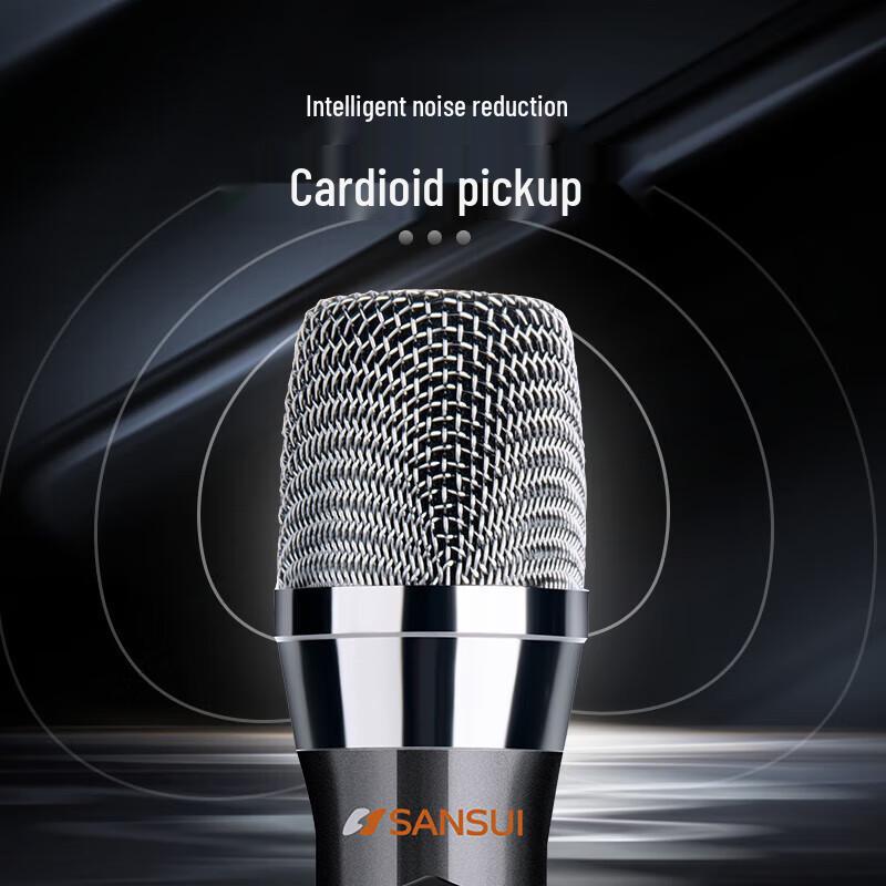 Sanshui KB3-06 Home KTV Audio System Set