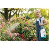 Hand Pressure Sprayer Plonos