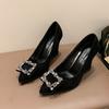 Fashion Women's Fashion Slope Heel Shoes Autumn I New Pointed Head Shallow Mouth Crystal Buckle Anti-slip Wear-resistant High Heels