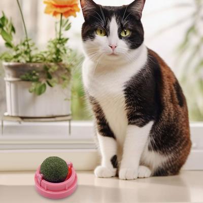 Шар из кошачьей мяты, вращающийся на 360 градусов, самоклеящийся, настенный, экологически чистый, вращающийся шар из кошачьей мяты