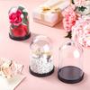 10pcdiy Transparent Plastic Vase Dome Ball with Screw-in Lid Preserved Flower Jar, Diy Crafts Holiday Display Home Decor