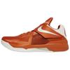 Zoom KD 4 Texas 2025 Men Sneakers Orange Desert-Orange White IB3555-800