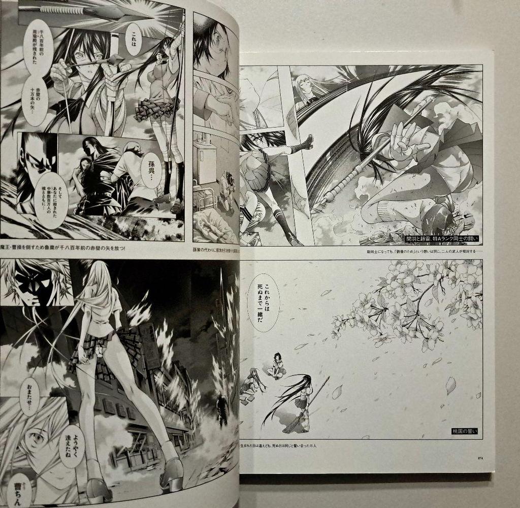 [USED] Ikki Tousen Master Works Yuji Shiozaki Art Collection
