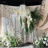 10PCS Gold Silver Sequins Hanging Foil Curtains PVC Round Sequin Rain Curtain  Festive Supplies
