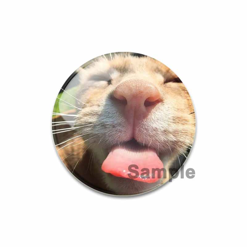 32/44/58 мм милые значки аниме-сериала забавный значок кота енота интересные мультяшные животные броши рюкзак одежда подарок аксессуар