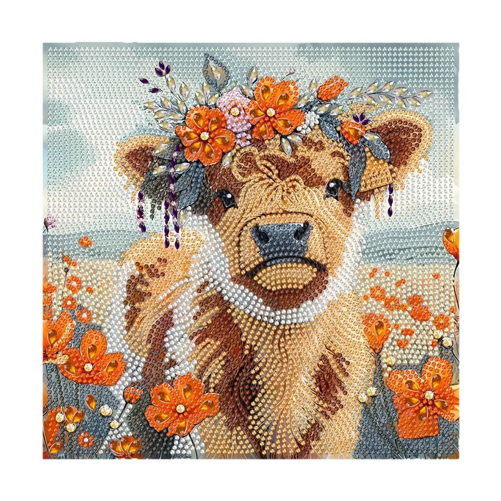 30 * 30 Special-shaped Diamond Painting Full of Diamonds Handmade Sticker Material Package, Diamond Sticker DIY Decorative Painting