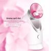 KinGdom Nano Hot Mist Facial Steamer
