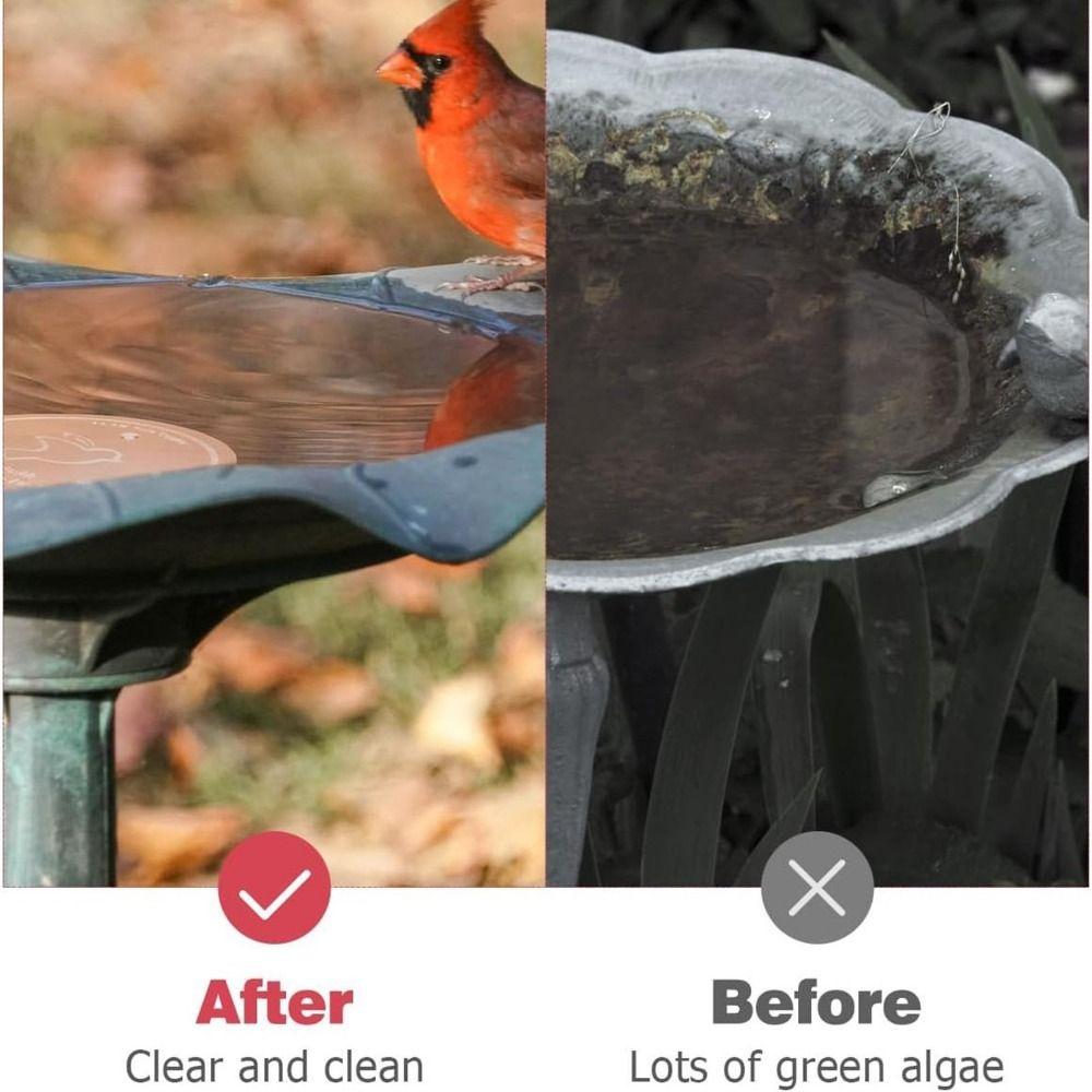 Triple-Point Support Mellbree Bird Bath Copper Disk 0.6mm Reinforced 99.99% Pure Copper Bird Bath Purifier Plate