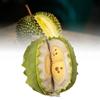 Removable Plush Durian Toy Dolls Soft Room Decoration Ornament Gifts Children