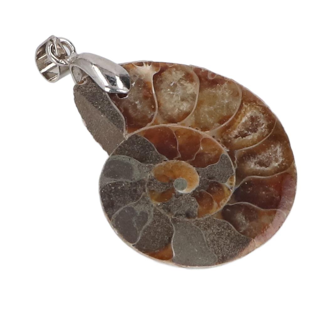 Подвеска из ракушки аммонита, ручная работа, винтажная подвеска из натурального аммонита для женщин и мужчин, подарок
