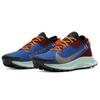 Pegasus Trail 2 Gore-Tex Mystic Dates Blue 2020 - CU2018-600