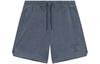 Li Ning Wade Collection Letter Casual Shorts Men's AKST537-6