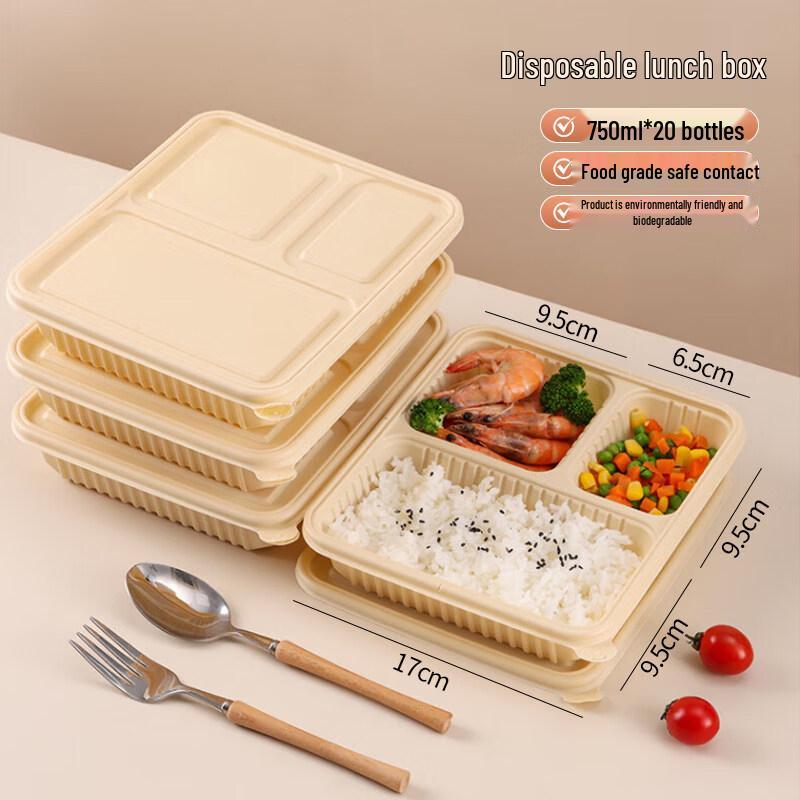ZISIZ Biodegradable Disposable Lunch Box