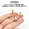Aquafix Chicago Bottom Belt Leather Handmade Parts Screws, 20-Pack, Studs, Screw-Type Rivets, Bag, Parts, Craft, (1044mm)