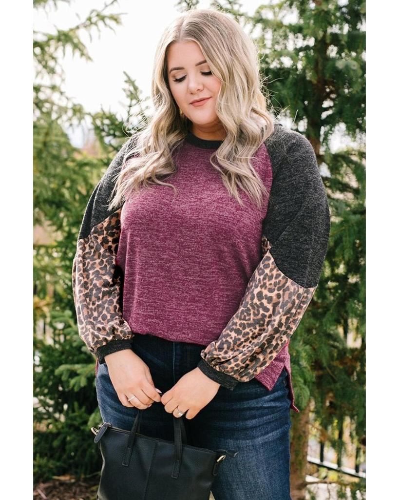 Azura Exchange Leopard Colorblock Long Sleeve Plus Size Top