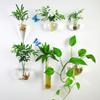 Durable European-style Flower Vase Multipurpose Creative Wall-mounted Hydroponic Vase Multi-style Flower Pot