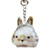 1/4Pcs Pet Rabbit Hair Keychain Keepsake Capsule Memorial Pendant Hair Storage Bottle Transparent Pet Hair Key Chain
