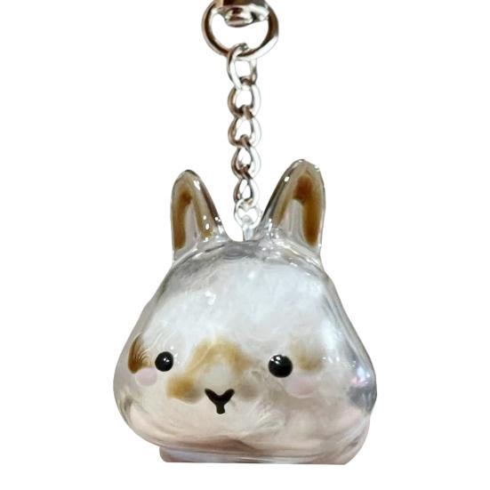 1/4Pcs Pet Rabbit Hair Keychain Keepsake Capsule Memorial Pendant Hair Storage Bottle Transparent Pet Hair Key Chain