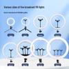 8-Inch Desktop Ring Light with 10-Inch Mobile Phone Holder for Live Streaming and Beauty Photography