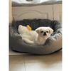 Very Soft Warm Dog Bed Pets Basket Cat House Sofa for Medium Large Dog Sofa Bed Cushion Dog Bed House Pet Supplies Accessories