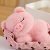Мультяшные гнезда спящих животных Собака Кошка Медведь Кролик Свинья Лиса Плюшевые игрушки Кукла для сна младенца Подарки на день рождения День святого Валентина Декор