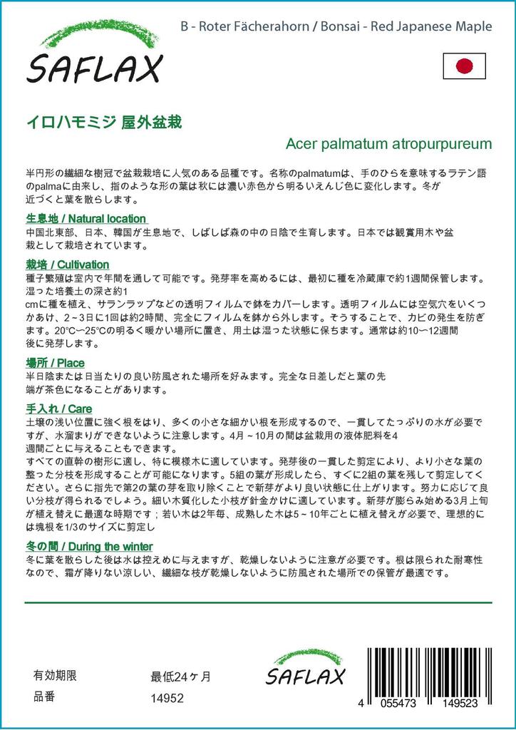 SAFLAX Garden in the Bag - Бонсай - Красный японский клен - 20 семян - С субстратом в подходящем мешке - Acer palmatum