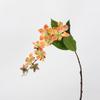 Soft Rubber Hanging Plant Decoration: Lover's Bean Fruit Design for Wall Landscape and Flower Arrangement