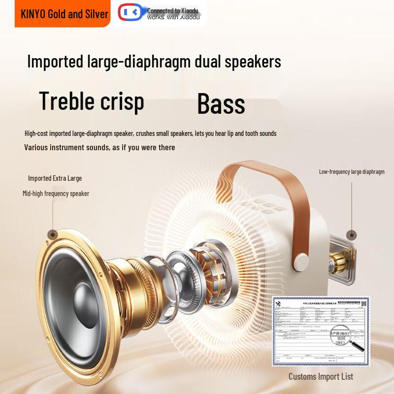 Kinyo Wireless KTV Microphone & Bluetooth Speaker System CN plug (adapter included)