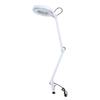 Beauty Cosmetic Tattoo Manicure 5x Magnifying Lighted Desk Magnifier Light Lamp With Clamp