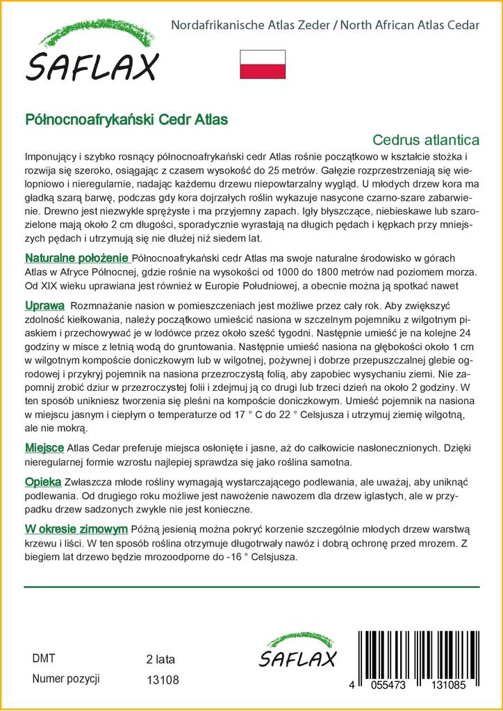 SAFLAX Североафриканский атласский кедр - 20 семян - Cedrus atlantica